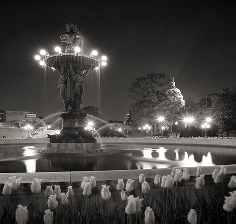 U.S. Capitol from Bartholdi Fountain