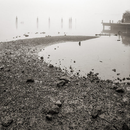 Shore Line in Fog #1