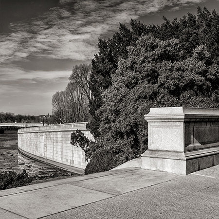 Trees and Concrete Along the Potomac River