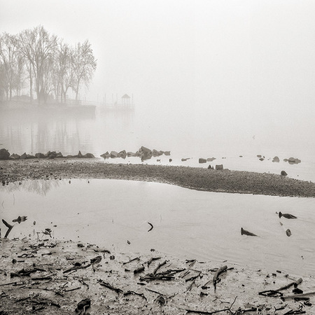 Shore Line in Fog #3