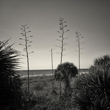 Nokomis Beach