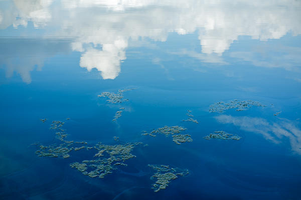 Sky Reflection