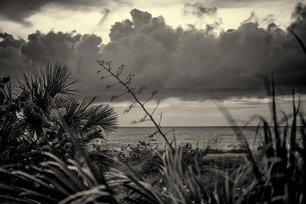 Cloud Bank, Nokomis Beach