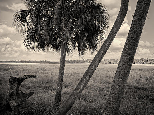 Myakka River State Park