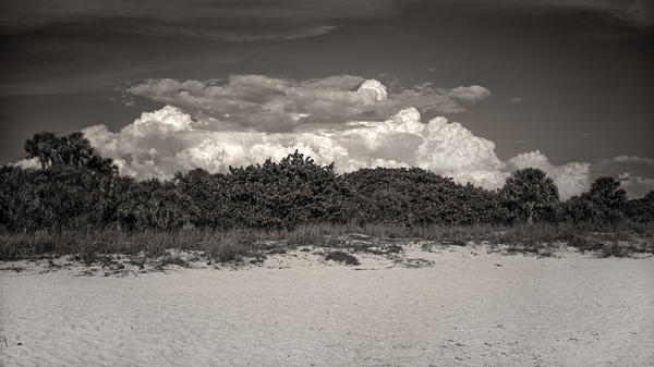 Beach & Sky, Nokomis