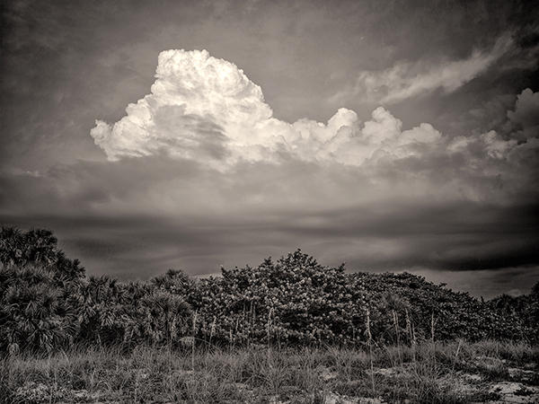 Looking East, Nokomis