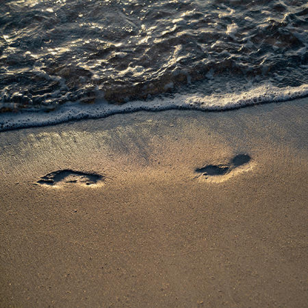 Footsteps Along the Shore