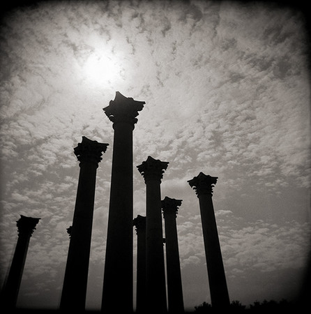 Capitol Columns Silhouette, National Arboretum