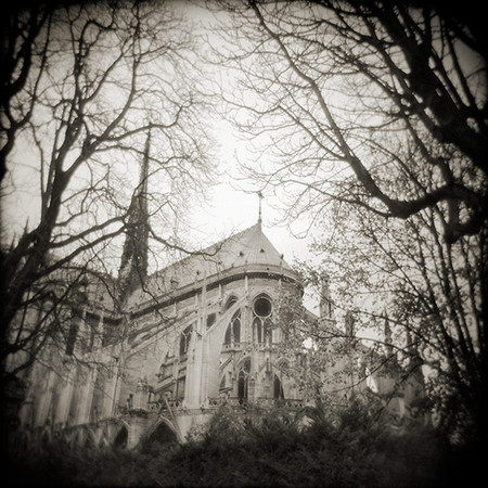 Notre Dame Through the Trees