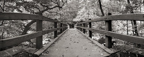 Footbridge Over Rock Creek