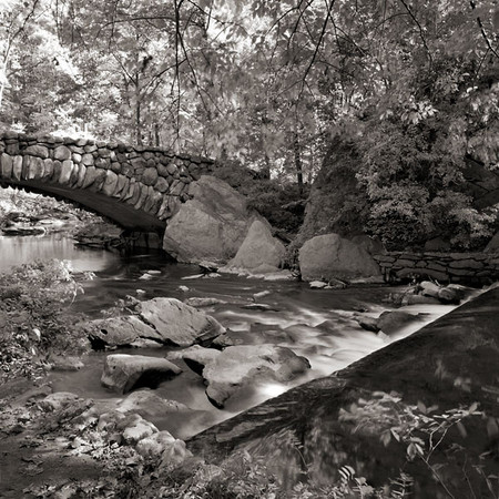 Fast Water, Rock Creek Park