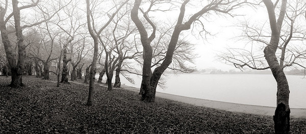 Tidal Basin in Winter