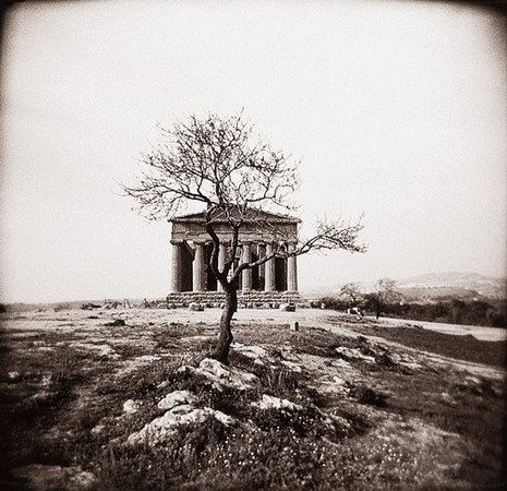 Temple & Tree, Agrigento, Sicily