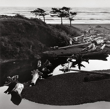 Driftwood, Kalaloch, Washington